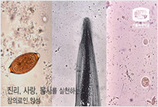 기생충학교실